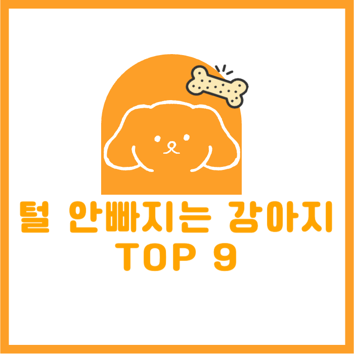 털 안빠지는 강아지 Top 9